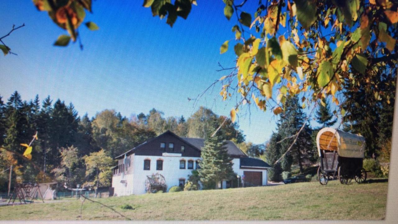 Pension Haus Fuerstenberg Beierfeld Esterno foto