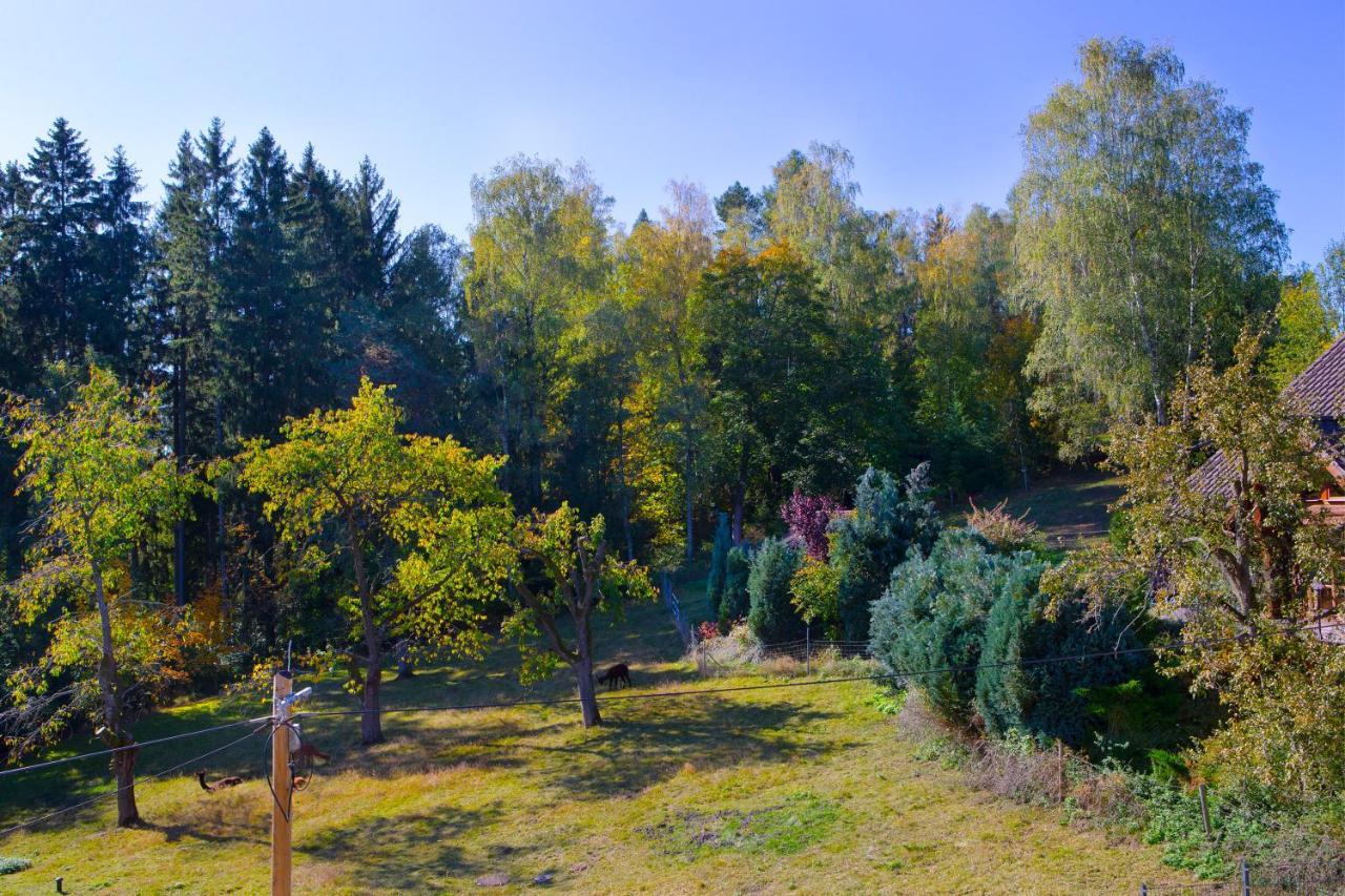Pension Haus Fuerstenberg Beierfeld Esterno foto