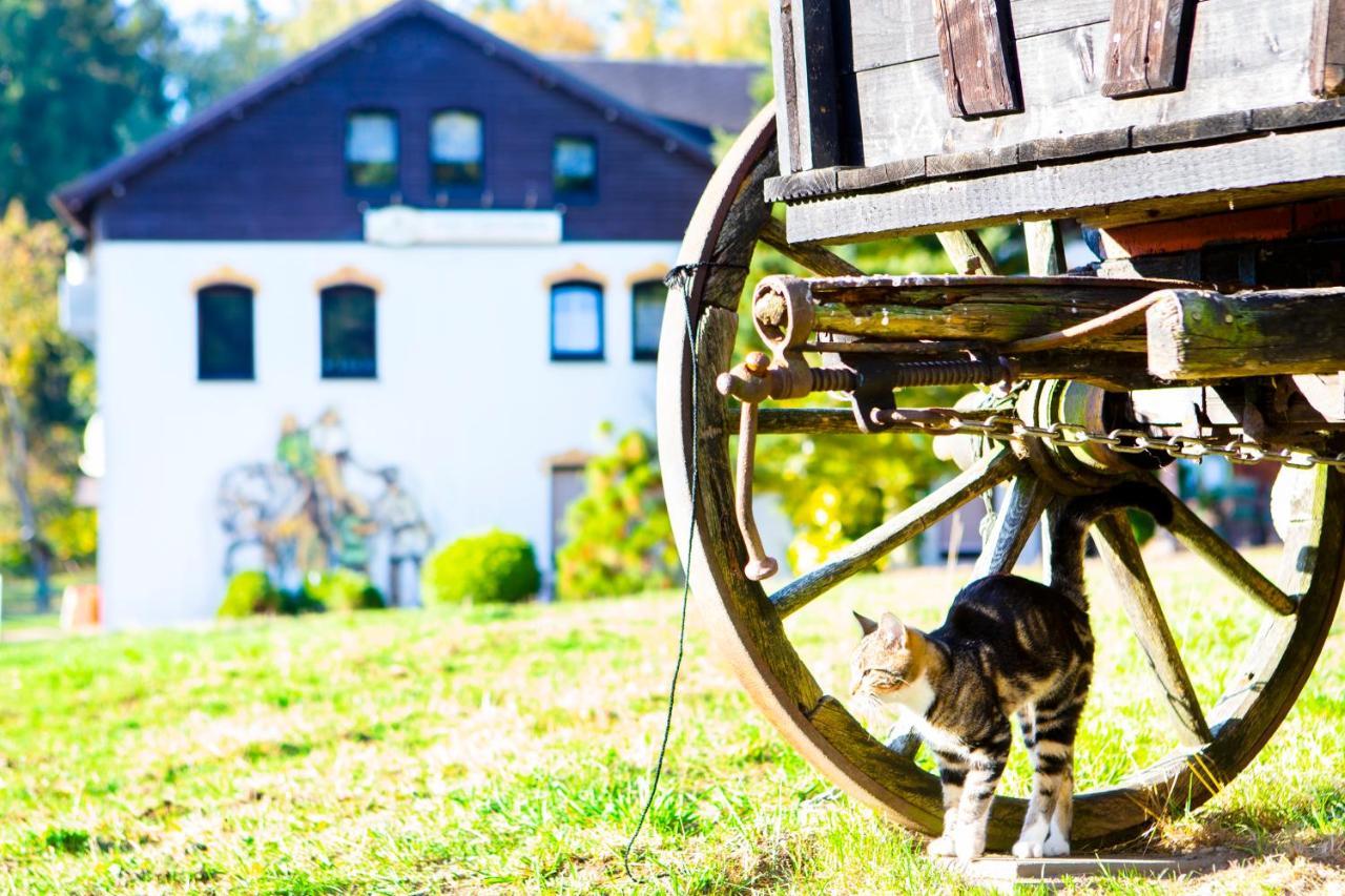 Pension Haus Fuerstenberg Beierfeld Esterno foto