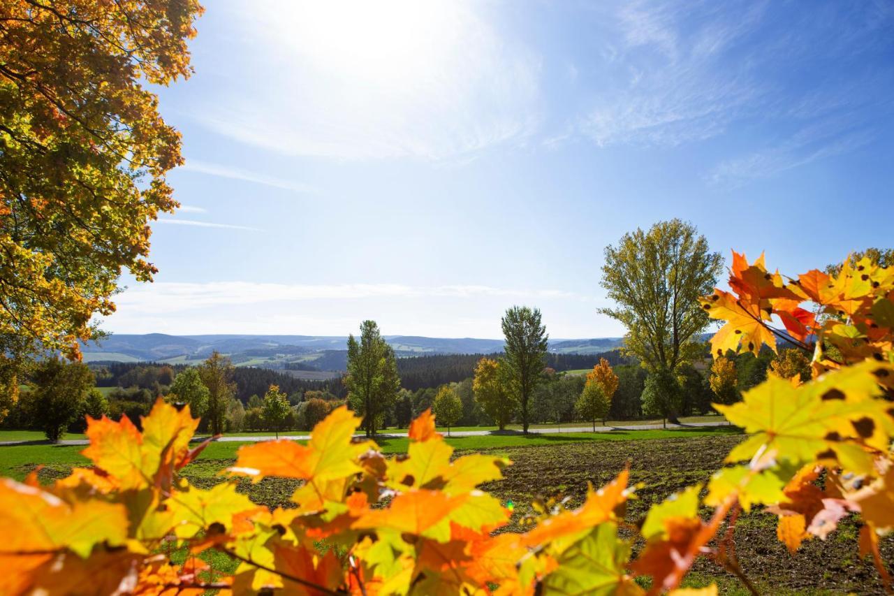 Pension Haus Fuerstenberg Beierfeld Esterno foto